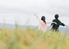 ふるさと納税の新制度 東京都以外の全自治体が参加