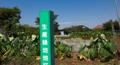 生産緑地法の改正と関連税制の見直しで都市農家に求められる最適な選択とは!?