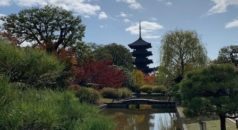 京都市 スマホ決済アプリによる納税をスタート